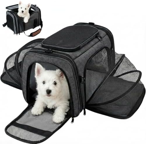 Soft Sided Pet Carrier for Small Dogs & Cats (Up to 9 lbs) – Airline Approved Underseat Travel Bag with Breathable Mesh, Luggage Strap & Washable Mat – Compact & Lightweight, Grey