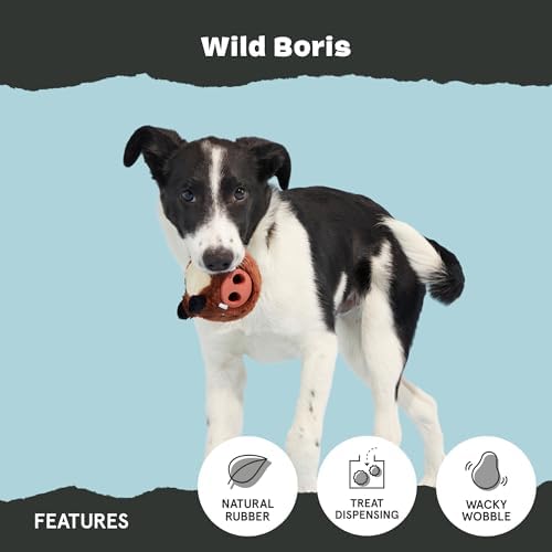 BARK Wild Borris Super Chewer Dog Toy Small