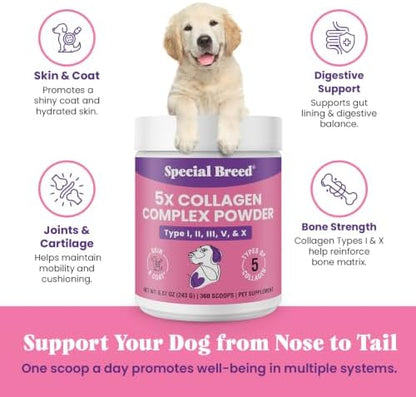 Premium 5X Collagen Powder for Dogs - Types I, II, III, V & X - Skin, Join, Gut & Coat Support - Collagen Powder with Bamboo & Vitamin C, 180 Scoops 8.57 oz