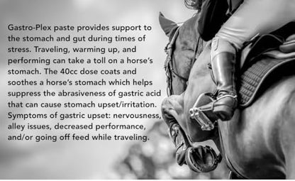 MVP Gastro-Plex Paste Gastric Stress Relief Paste for Horses