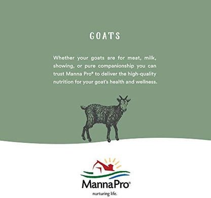Manna Pro Chicken Feed | 16% Chicken Food with Probiotic Pellets, Layer Feed | 16 lbs (Pack of 2)