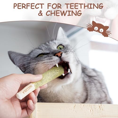 Nocciola 3 Pack Catnip Toys for Cats, Funny Cat Toys Filled with 100% Pure Organic Catnip, Safe Kitten Teething Chew and Kicker Toys, Stress Relieving Fun for Indoor Cats, Brown