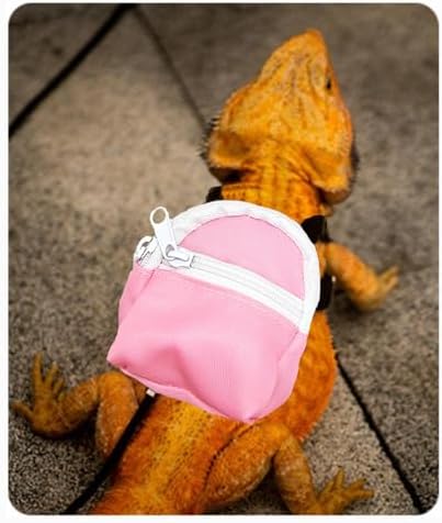 Leopard Gecko Backpack Carrier,Reptile Portable Backpack Carrier with Small Backpack Harness Leash Set,Space Capsule Clear Bubble Window Travel Backpack for Lizard Travel,Guinea Pig,Rabbit
