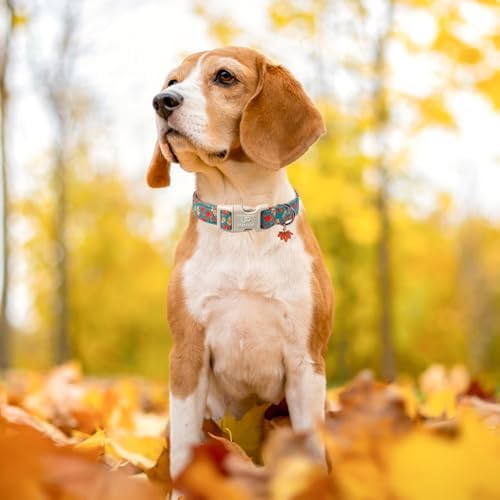 Fall Dog Collar for Small Medium Large Dogs-Adjustable Autumn Leaf Print Dog Collar with Maple Charm, Cute Seasonal Pet Collars with Quick Release, Soft Durable Puppy Collars