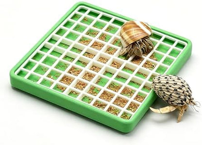 Hermit Crab Food Dish for Powdered Food, with Removable Anti-Carry Grid, No Mess Feeding Dish Prevents Food from Being Dragged Away (Dark Green, 3.9" x 3.9")