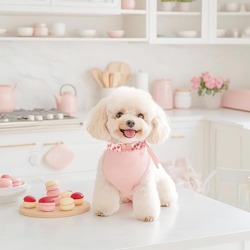 Strawberry Dog Collar for Giant Large Dogs - Adjustable Spring Summer Pink Girl Dog Collars, Cute Girly Female Pet Collar with Metal Buckle XL
