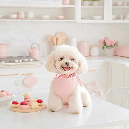 Strawberry Dog Collar for Giant Large Dogs - Adjustable Spring Summer Pink Girl Dog Collars, Cute Girly Female Pet Collar with Metal Buckle XL
