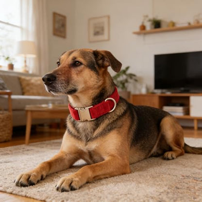 Soft Corduroy Fibric Dog Collar with High Grade Metal Buckle, for Medium Dogs.(Red,Medium:12-19")