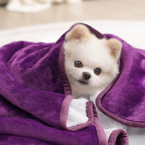 gogobunny Waterproof Pet Blanket for Small Dogs and Cats, Reversible Sherpa Fleece Soft Plush Throw for Couch Protection, Washable Furniture Protector (Dark Purple, 30x30 inches)
