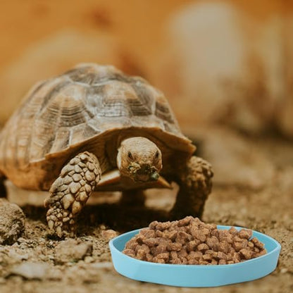 COMSUN 4 Pack Small Reptile Food Dish Bowl, Plastic Worm Water Dish Plate