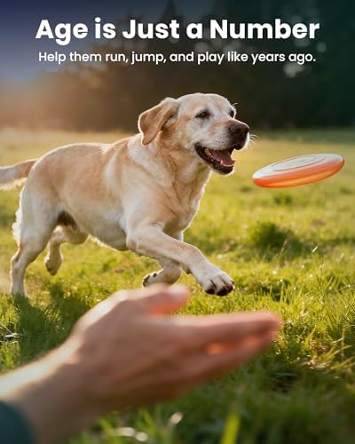 NAD+ Glucosamine for Dogs Hip and Joint Supplement-300 Soft Chews