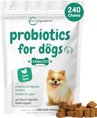 Micro Ingredients Probiotics for Dogs, 240 Soft Chews | Daily Digestive Health Probiotic Chews for Dogs with Prebiotics & Enzymes | Supports Gut Flora & Immune Function* | Non-GMO, Duck Flavor