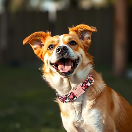 Floral Dog Collar - Rose Red Wild Flowers Pattern Cute Puppy Collar, Adjustable Winter Holiday Metal Buckle Dog Collars for Small Medium Large Dogs L