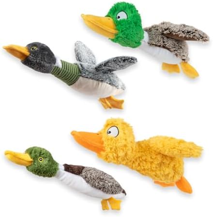 Best Pet Supplies Interactive Squeaky Dog Chew Toy, Ideal Dog Toys for Chewers, Small, Medium & Large Dogs, and Fetch Lovers - Duck (Mystery Box), Large