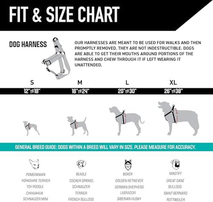 Wolfgang Heavy Duty Adjustable Dog Harness, Pull-Tested to Over 800 lbs for Walking & Training, Daydream Print, Extra Large