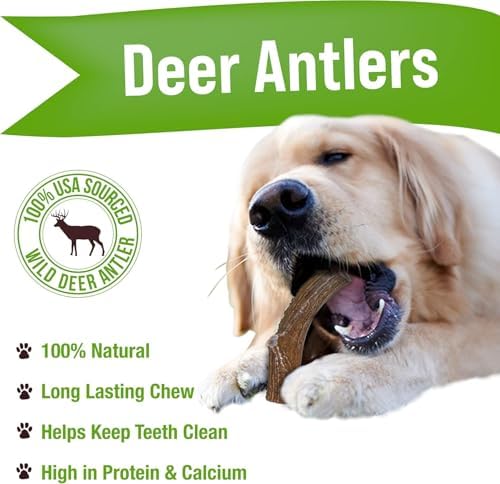 Buck Bone Organics Dog Chews, Deer Antlers for Dogs, Long Lasting Dog Bones for Aggressive Chewers, All Natural, No Preservatives, Wild Shed in the USA Large
