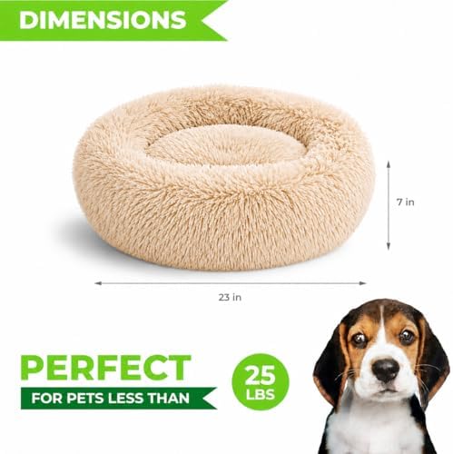 Whiskers & Friends Cat Beds for Indoor Cats & Small Dog, Fluffy Cat Bed