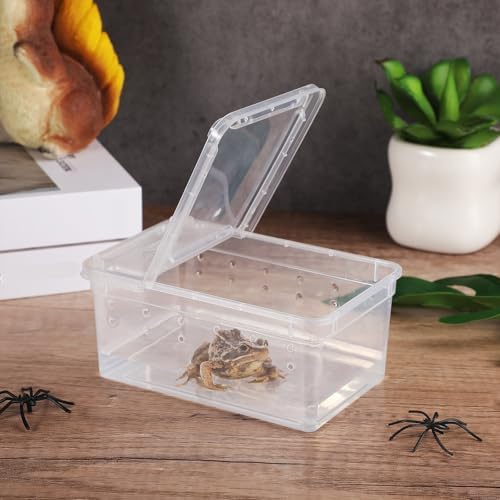 Irenare 8 Pcs Reptile Breeding Box Plastic Spider Terrarium Tarantula Feeding Box for Bearded Dragon Lizard Spider Gecko Scorpion(Vent Holes,Clear,5.9 x 3.9 x 2.5 Inch)