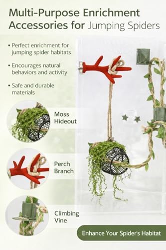 5Pcs Jumping Spider Enclosure Accessories with Hammock, Magnetic Climbing Rope, Resting Ledge Platforms and Feeding Dish Bowl & Hook for Terrarium Habitat (5Pcs Combination Kit)