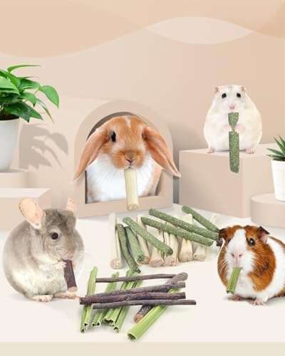 Bissap 60PCS Rabbit Chew Sticks, Natural Mix Molar Treat for Small Animals