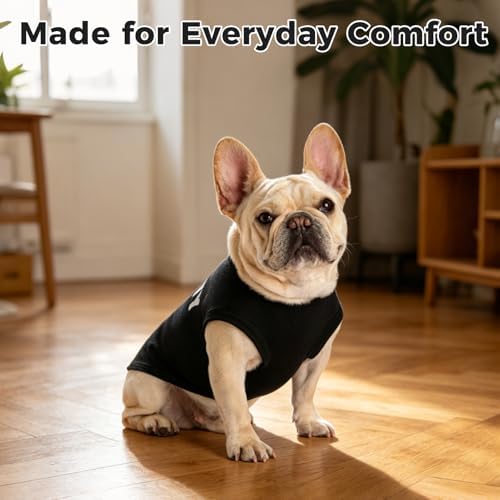 BINGPET Dog Security Shirt, Soft Cotton Puppy T-Shirt, Halloween Costumes