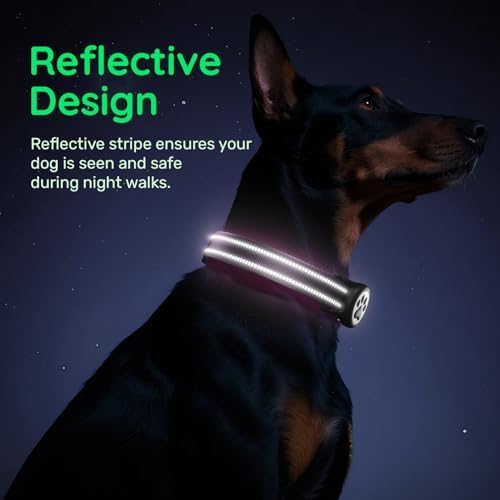 Premium Airtag Dog Collar，with IP68 Waterproof AirTag Holder,Purple,M