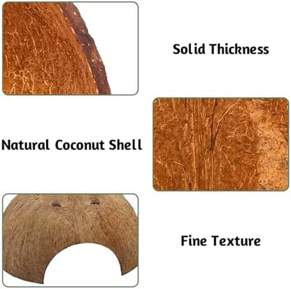 PINVNBY 4 PCS Natural Coconut Reptile Hideouts Lizard Coco Hut Hermit Crab Hut Aquarium Fish Hide Cave Spider Snail Climber Toys