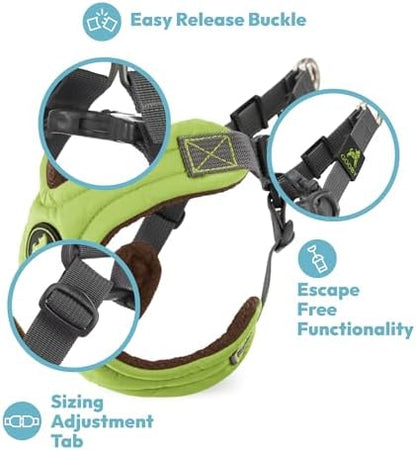 Gooby Escape Free Memory Foam Dog Harness, Step-in, Blue, Medium