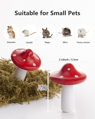 Niteangel Hamster Chew & Decor Toys: Pack of 2 Mushroom-Shape & Beech Wood