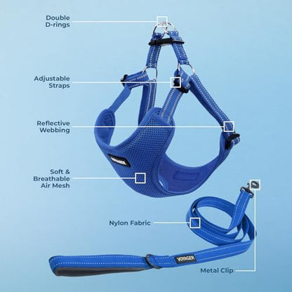 Best Pet Supplies Voyager Adjustable Step-in Flex Breathable Mesh Dog Harness for Small Medium Large Dogs Leash Set (Royal Blue), S