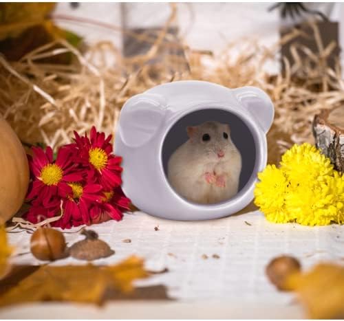 Ceramic Hamster House, Cute Animal Shaped Hamster Cave, Summer Cool Small Animal Hideout Habitat Decor for Dwarf Hamsters (Green)