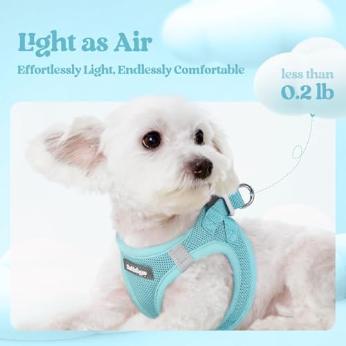 rabbitgoo Dog Harness Medium Sized and Leash Set, Step-in Puppy Pet Vest