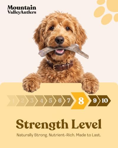 Mountain Valley Deer Antlers for Dogs Organic Chew Whole Dog Antler, Medium