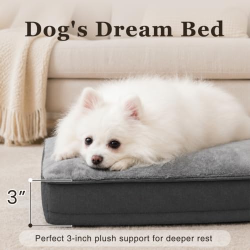 NUPIDA Waterproof Small Dog Bed for Crate with Washable Cover, 23x17, Grey