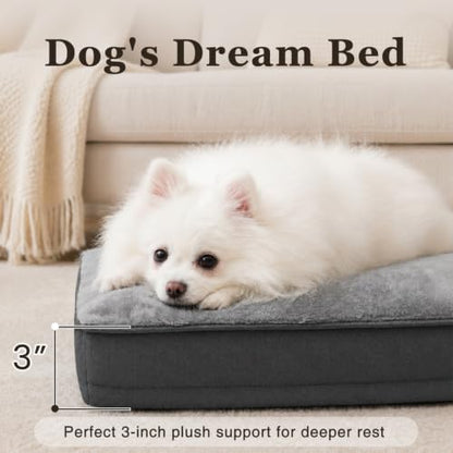 NUPIDA Waterproof Small Dog Bed for Crate with Washable Cover, 23x17, Grey