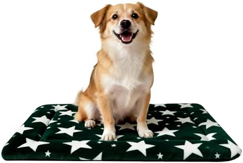 Dog Bed Mat – Soft & Comfortable Dog Kennel Pad for Crate – Durable Crate Bed & Mat for Dogs & Cats – Ideal for Crate, Kennel, and Home Use (Big&Little Stars Green, M(30"*20"*1.5"))