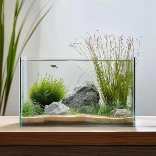Vimvins 10 Gallon Glass Fish Tank, Easy to Maintain Small Aquarium for Betta/Goldfish/Snails/Shrimp and Aquatic Planting.
