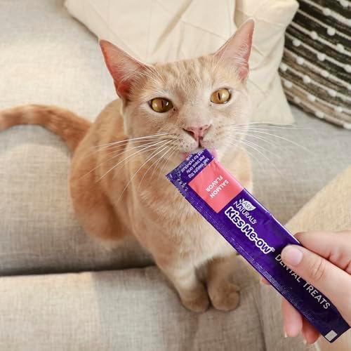 ARK NATURALS Kiss Me-Ow Lickable Cat Treat - Salmon Flavor (2 oz)