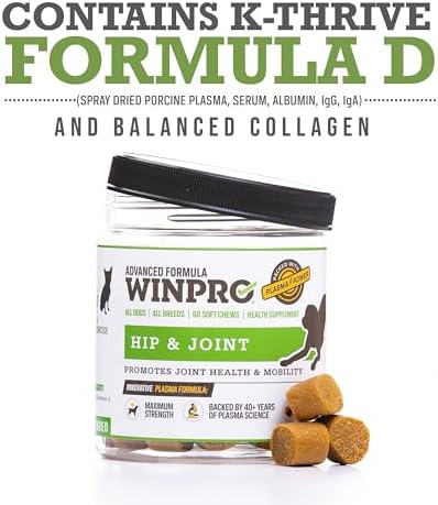 WINPRO Hip & Joint Supplement for Dogs - Plasma Powered Soft Chews for Joint Health & Mobility – Fast-Acting with Collagen & Natural Ingredients for Dogs of All Breeds – 60 Chews