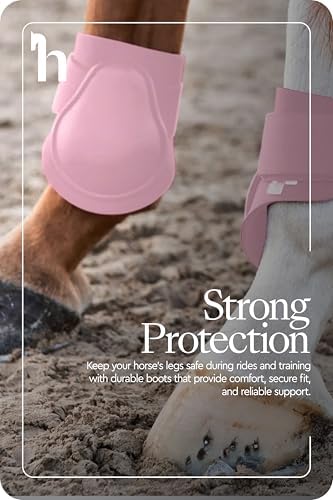HORZE Chicago Rear Fetlock Boots for Horses, Horse Tendon Boots