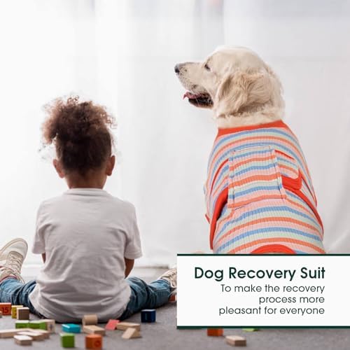 Kuoser Recovery Suit for Dogs Cats, Soft Dog Surgery Suit Female Male Spay