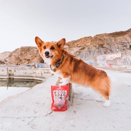 Stella & Chewy's Training Dog Treats - Crav'n Bac'n Soft Bacon & Pork Bites - Premium USA Made - Low Calorie Rewards - 8.25oz