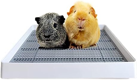 PODOO Rabbit Litter Box – Training Potty Tray for Guinea Pig & Small Pets · Spacious Grid Pan with Low Entrance, Easy-Clean & Odor-Resistant—Helps Keep a Clean Cage and Reduce Mess