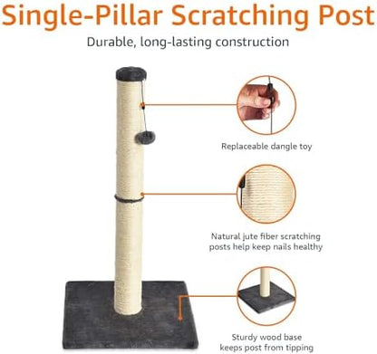 Amazon Basics Cat Scratching Post for Indoor Cats & Kittens, Medium (31.5"H), Cat Furniture with Dangling Ball Toy, Grey
