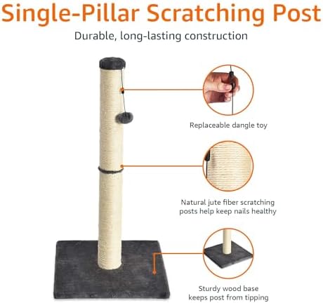 Amazon Basics Cat Scratching Post for Indoor Cats & Kittens, Medium (31.5"H), Cat Furniture with Dangling Ball Toy, Grey