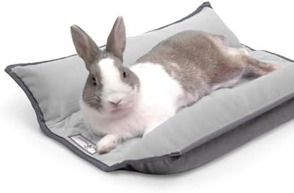 Paw Inspired Snuggle Bunny Bolster Bed, Gray/Light Gray, 17x17 Inch