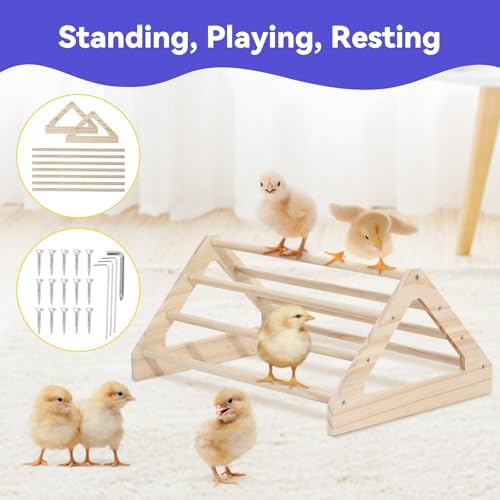 Pawaboo Chick Brooder Box for Chick Starter Kit, Black