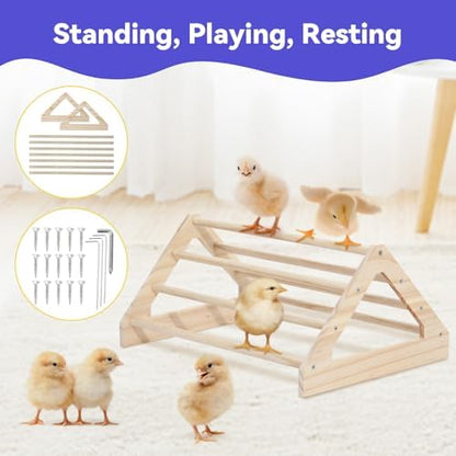 Pawaboo Chick Brooder Box for Chick Starter Kit, Black