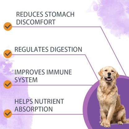 Dog Probiotic Chews 120 Count – 6 Billion CFU, 6 Strains