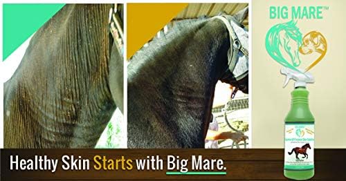 Big Mare All Purpose Horse Skin & Wound Care 32oz | for Girth Itch, Insect & Fly Bites, Crud, Itchy Manes & Tails & Hair Loss